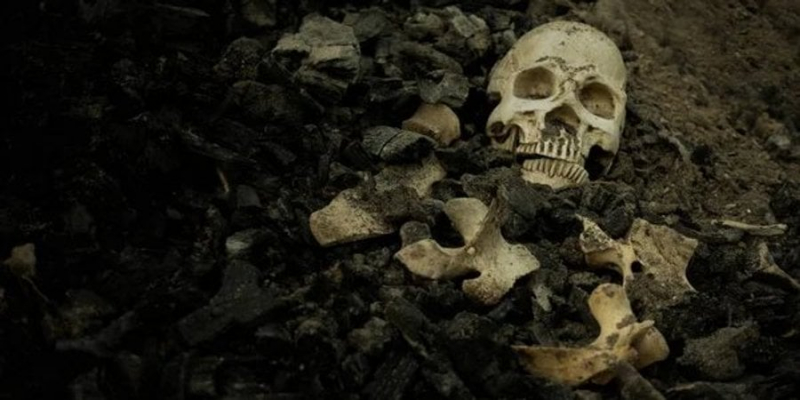 Майже мільйон людей за&nbsp;пару секунд. Учена з&rsquo;ясувала, який день був найсмертоноснішим в історії людства