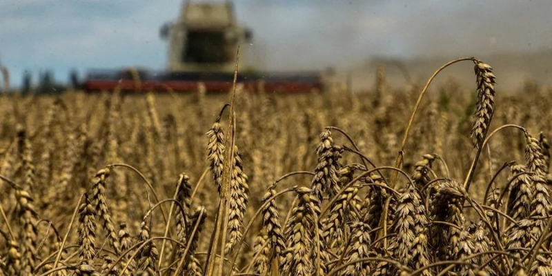 На&nbsp;майже 134 млрд грн. Рівень &laquo;чорного&raquo; експорту зерна сягнув 20% від загальної кількості &mdash; БЕБ