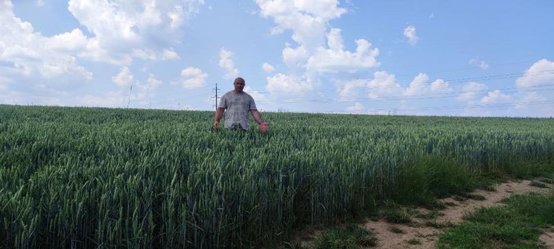 Партнерський проєкт: &laquo;Ми&nbsp;маємо працювати&raquo;. Як&nbsp;фермер із Чернівецької області не&nbsp;зупинився попри війну та&nbsp;блокаду Одеських портів