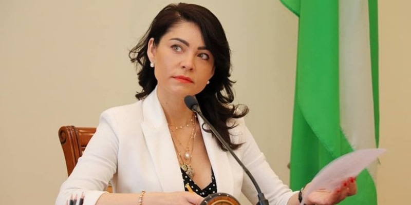 &laquo;Півроку жодних претензій не&nbsp;було&raquo;. Нова голова АРМА заявила, що інтерес до її кандидатури з&rsquo;явився тільки після проведення конкурсу