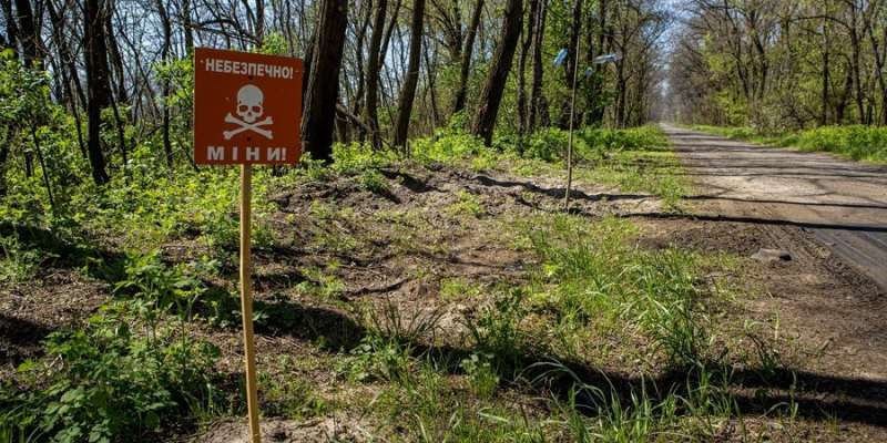 Російський врожай астрономічних збитків. Скільки Україні потрібно грошей, аби розмінувати забруднені окупантами з РФ поля, — аналіз NV