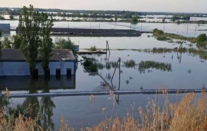 Він був такий один. Після підриву Каховської ГЕС затопило єдиний в&nbsp;Україні осетровий завод&nbsp;&mdash; фото
