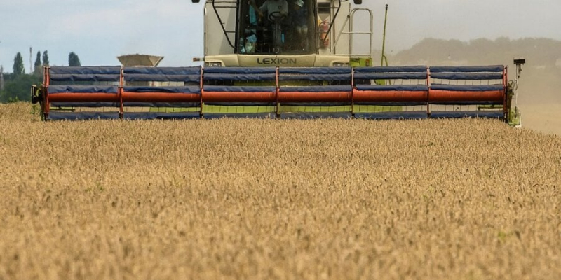Європа поступово скасовує обмеження на імпорт сільгосппродукції з&nbsp;України до пʼяти країн