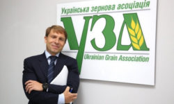 Коридор від ЗСУ. Скільки зерна експортує Україна після виходу Росії із зернової угоди — інтерв’ю