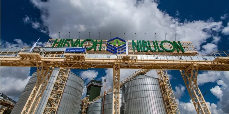 Оптимізм під час війни. Нібулон визначився з інвестиціями в Україну на наступний рік