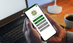 Пенсії-2023: як перевірити свій страховий стаж на вебпорталі ПФУ