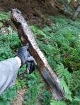 У Карпатах знайшли залишки німецького бомбардувальника часів Другої світової війни