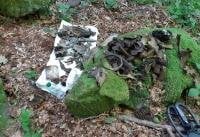 У Карпатах знайшли залишки німецького бомбардувальника часів Другої світової війни